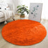 Round Fluffy Plush Carpet for Home Living Room Decor Thick Area Rugs Velvet Floor Mats